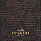 COACH ID Lanyard In Signature Canvas Walnut/Black CZ285